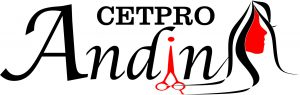 cetpro andina